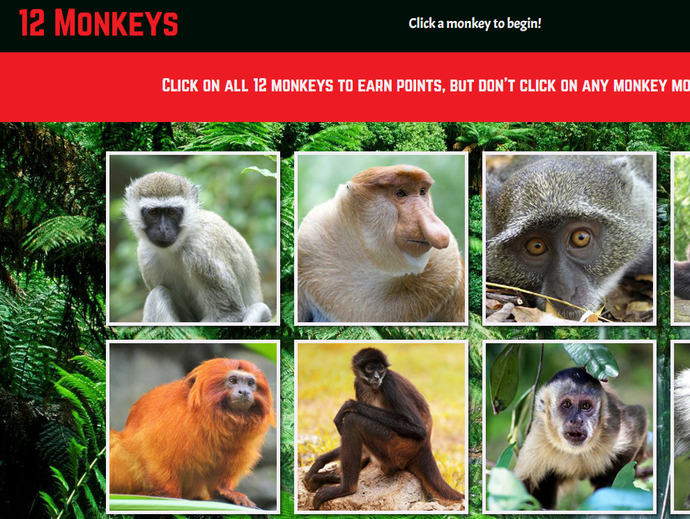Image of 12 Monkeys website.